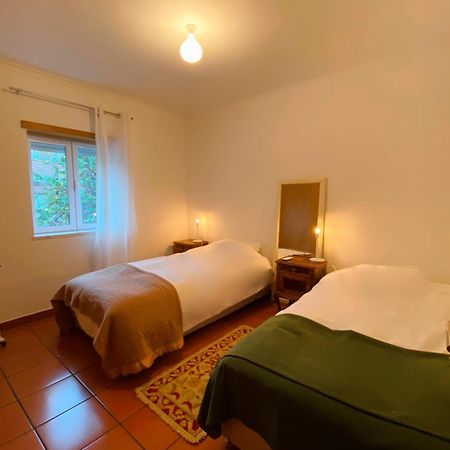 Casas Nas Termas Apartment Cabeco de Vide Ngoại thất bức ảnh